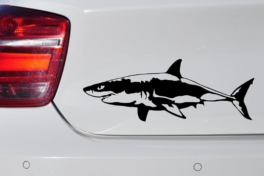 Наклейка акулы на крыше багажника