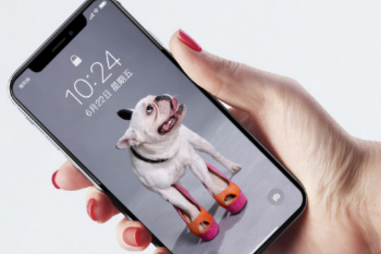 Финская новинка: мобильный телефон для охотничьих собак