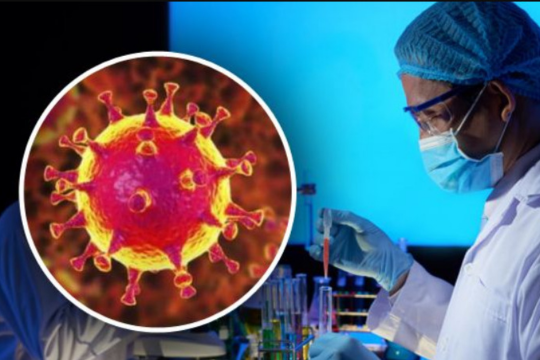 Представитель ВОЗ назвал самый явный симптом коронавируса