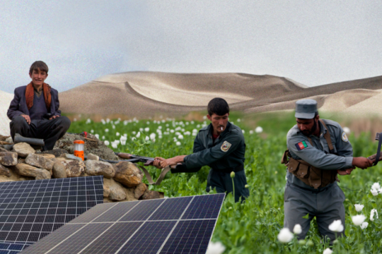 На опиумных плантациях Афганистана используют солнечные батареи