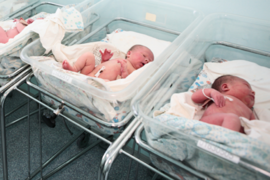 В Беларуси сильно упала рождаемость: падение составило около 13%