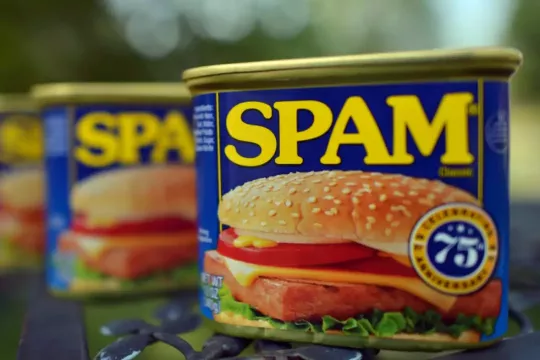 Изначально, спамом называли консервы от компании Hornel Foods. Американская фирма была очень настойчива, даже назойлива, в своей рекламе.