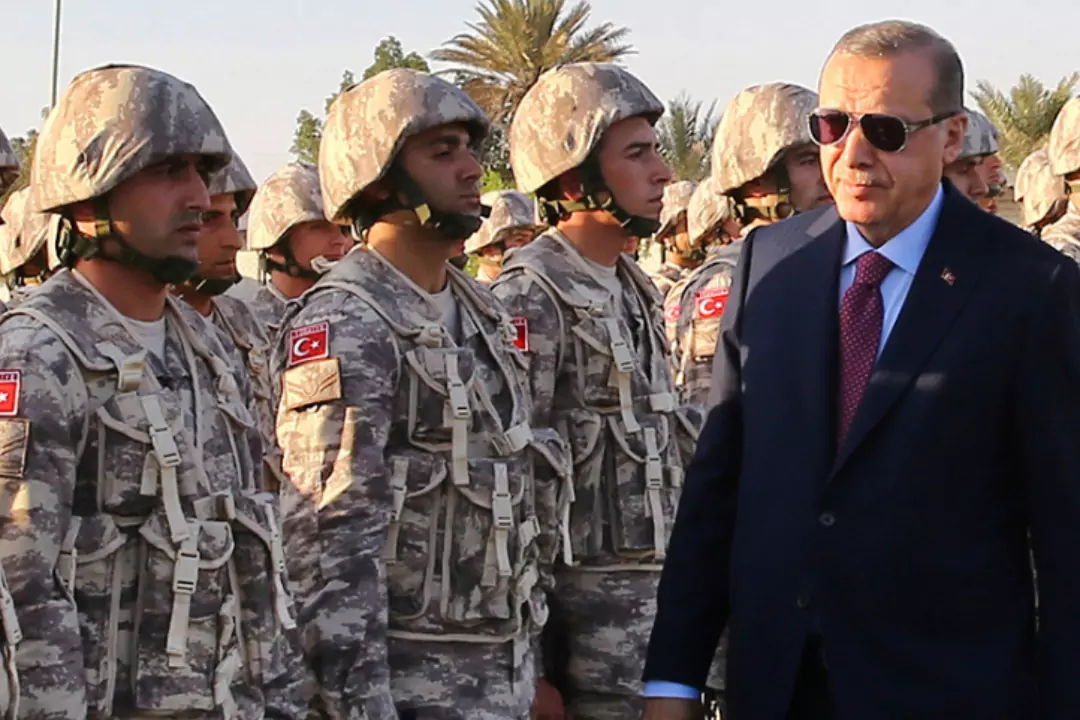 В Турции заявили о готовности оказать военную помощь Украине