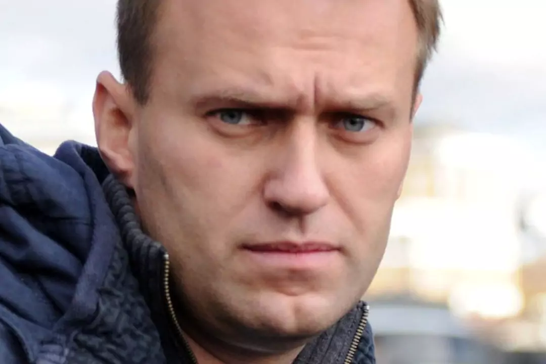 Васильева назвала состояние российского оппозиционного политика Алексея Навального критическим