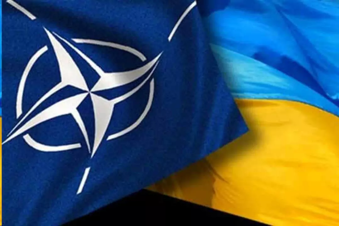 Белый дом заявил, что Украину ждут в НАТО