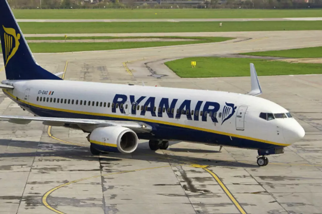 Расследование инцидента с самолетом Ryanair будет закончено в ближайшие две недели
