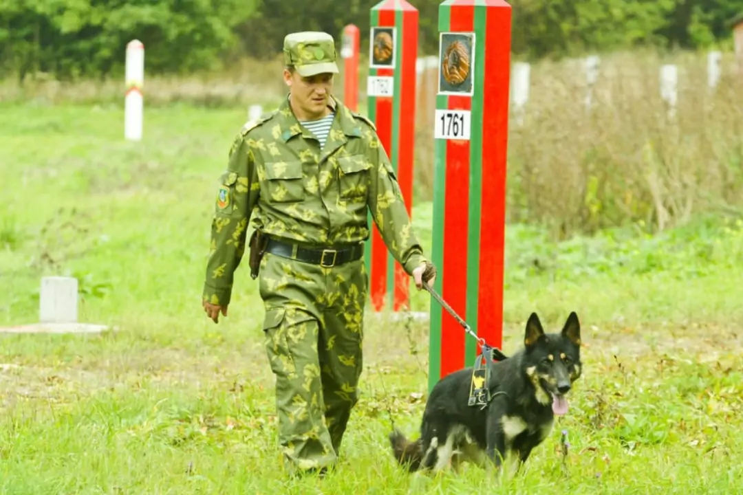 Белорусские пограничники фото