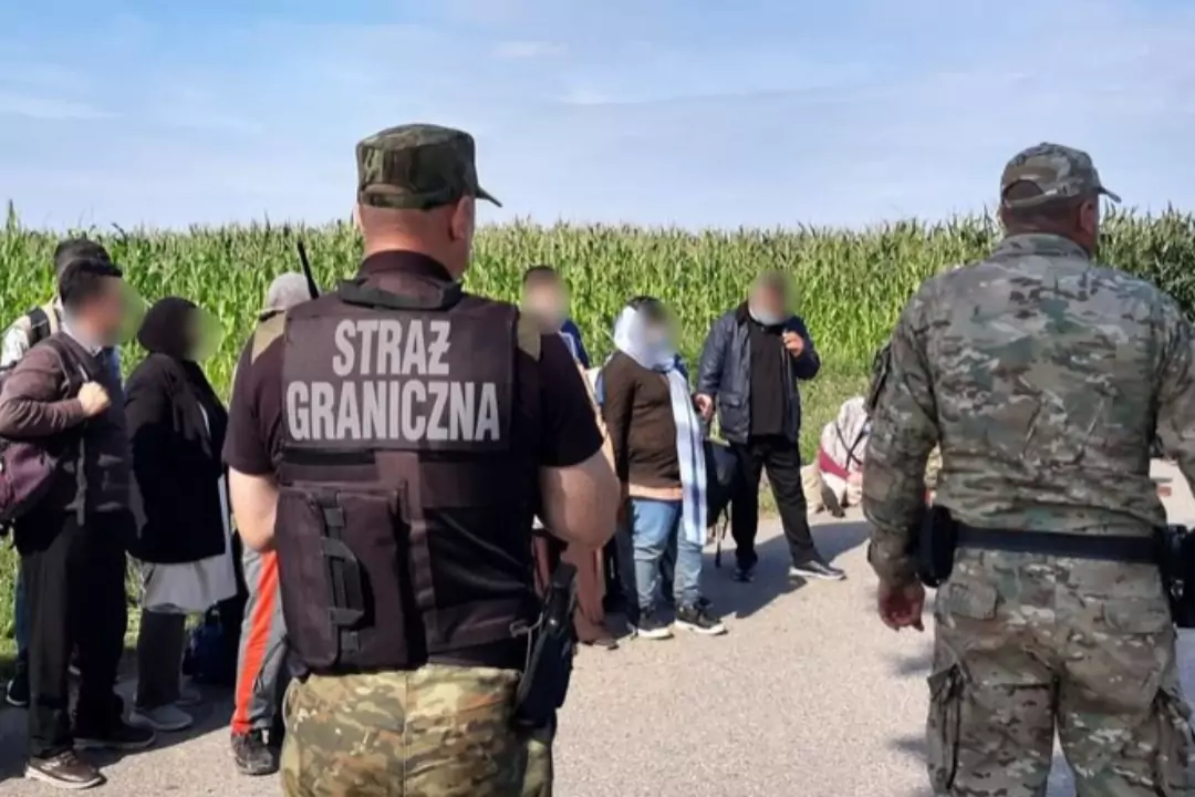 На границе Беларуси и Польши держат более 3 тысяч нелегалов