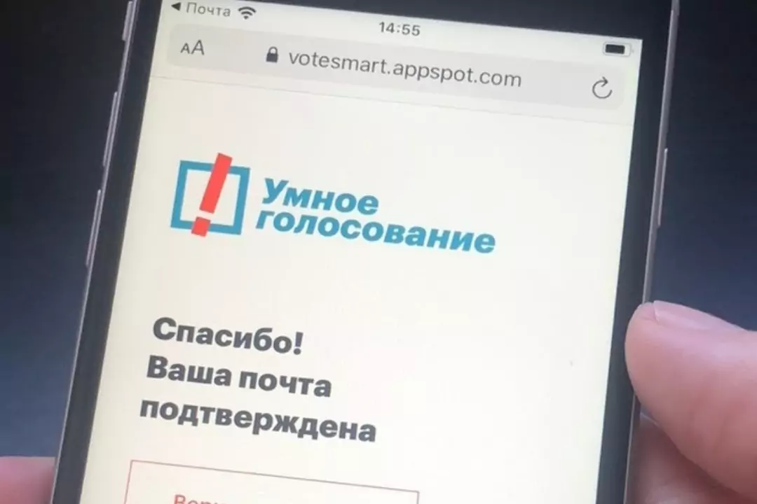 Приложение «Навальный» удалили после вызова посла США в Совфед России