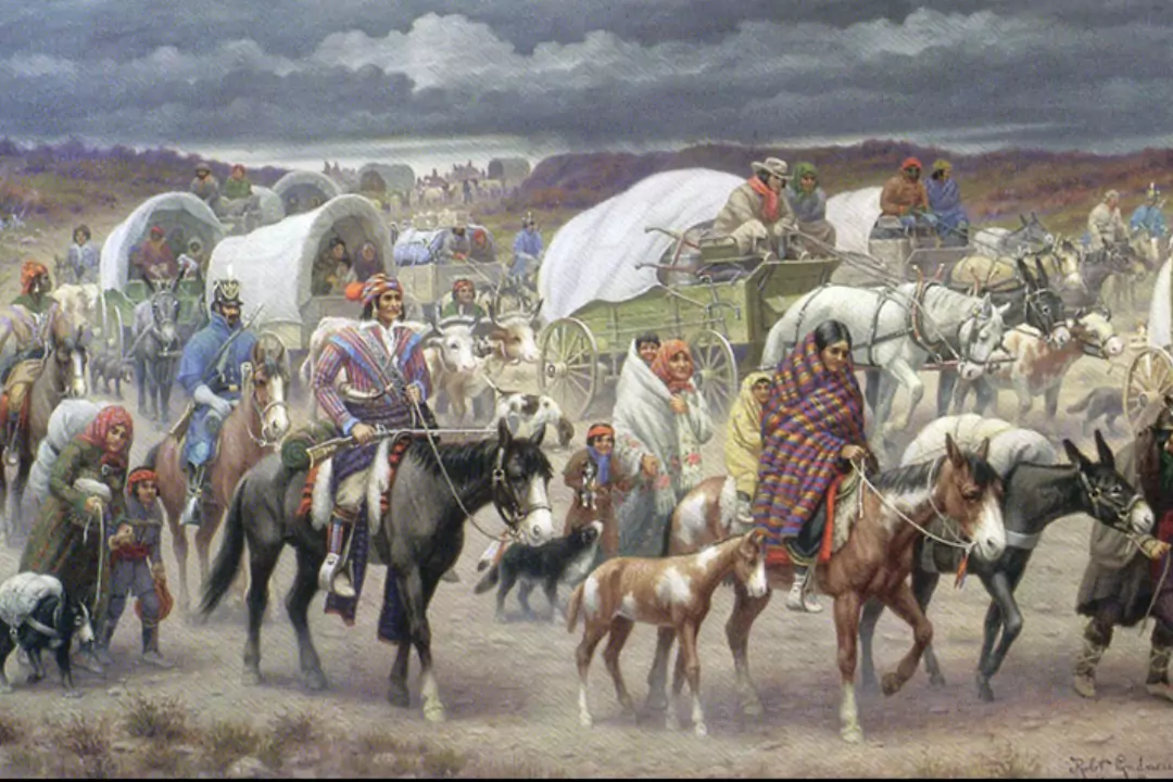 "Дорога слёз". Как белые колонисты выгнали индейцев с родных мест и заставили пройти восемь тысяч километров на запад