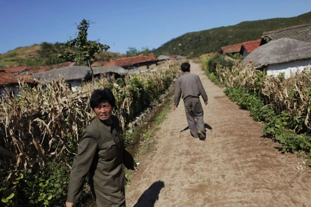 Северная Корея: стихийные бедствия, пандемия и нехватка продовольствия. Полный запрет религии и охота на христиан