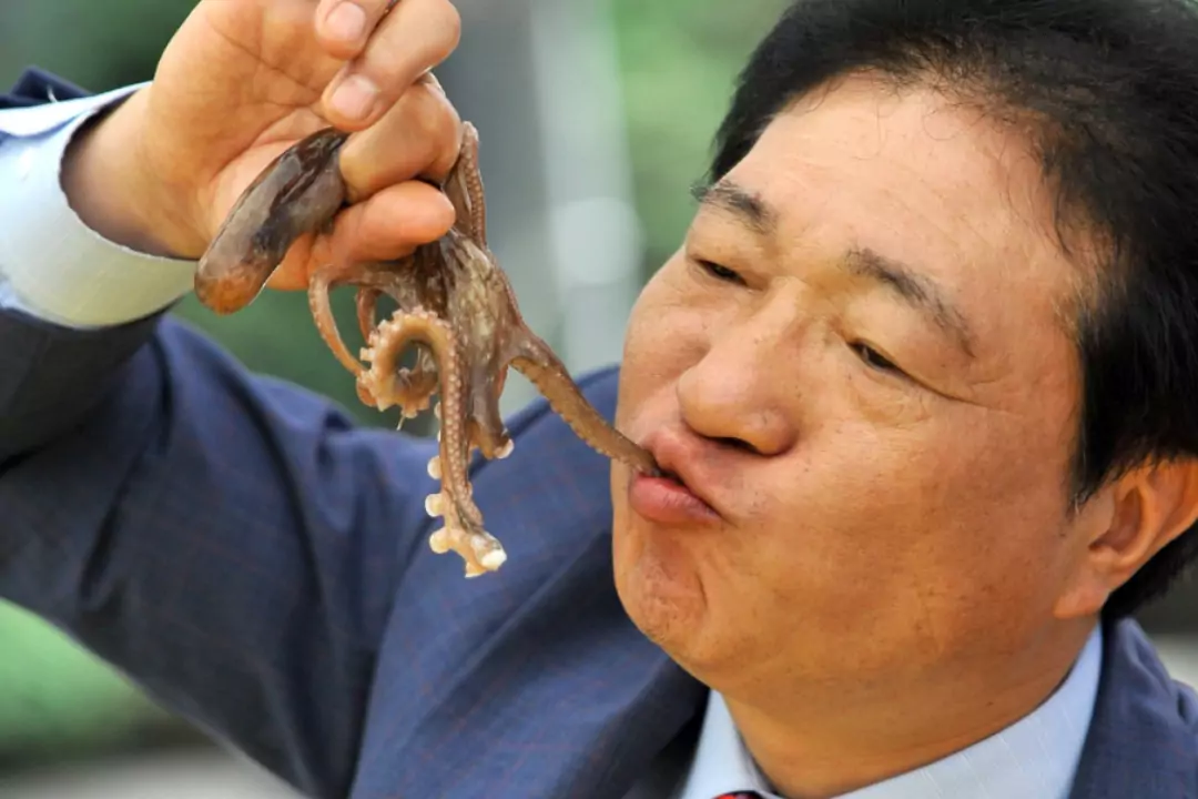 Смертельно опасное блюдо: Зачем азиаты едят живых осьминогов, если есть даже зафиксированные случаи смерти