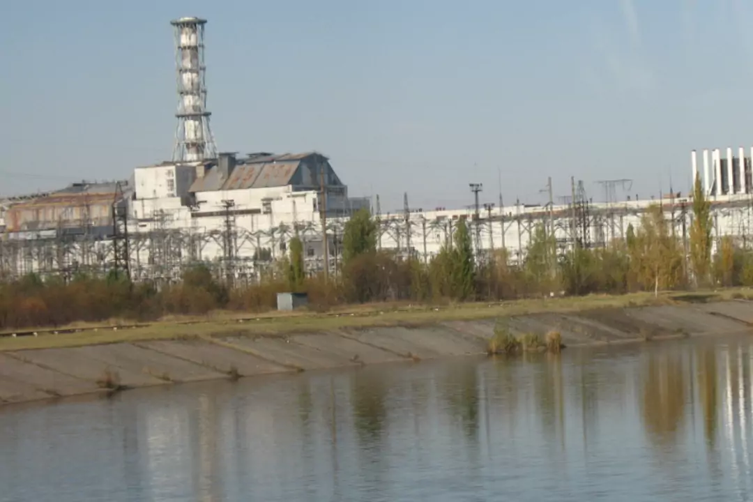Сомы-гиганты, огромные караси и красноперки: какие рыбы завелись в Чернобыле после аварии на ЧАЭС