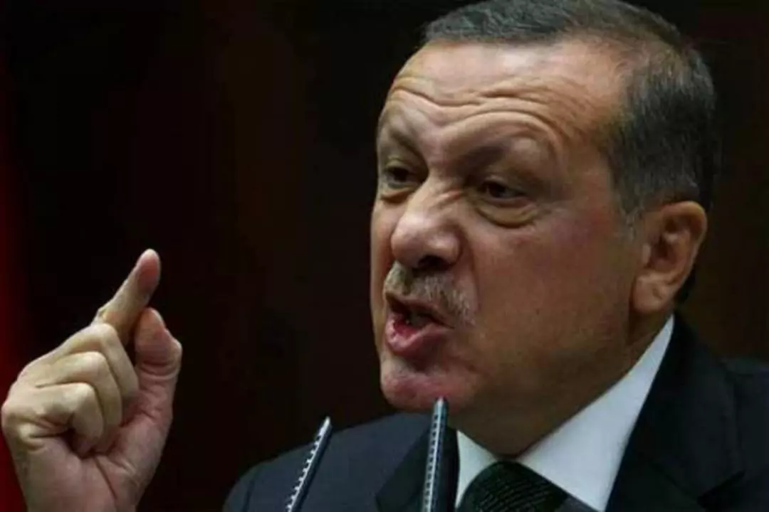 Эрдоган грозит выслать из Турции послов 10 стран, в том числе США, Германии и Франции