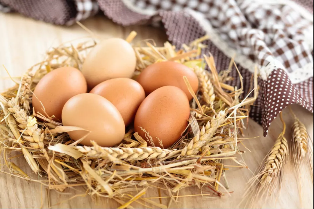 В куриных яйцах, как и в других продуктах, содержится как польза, так и вред