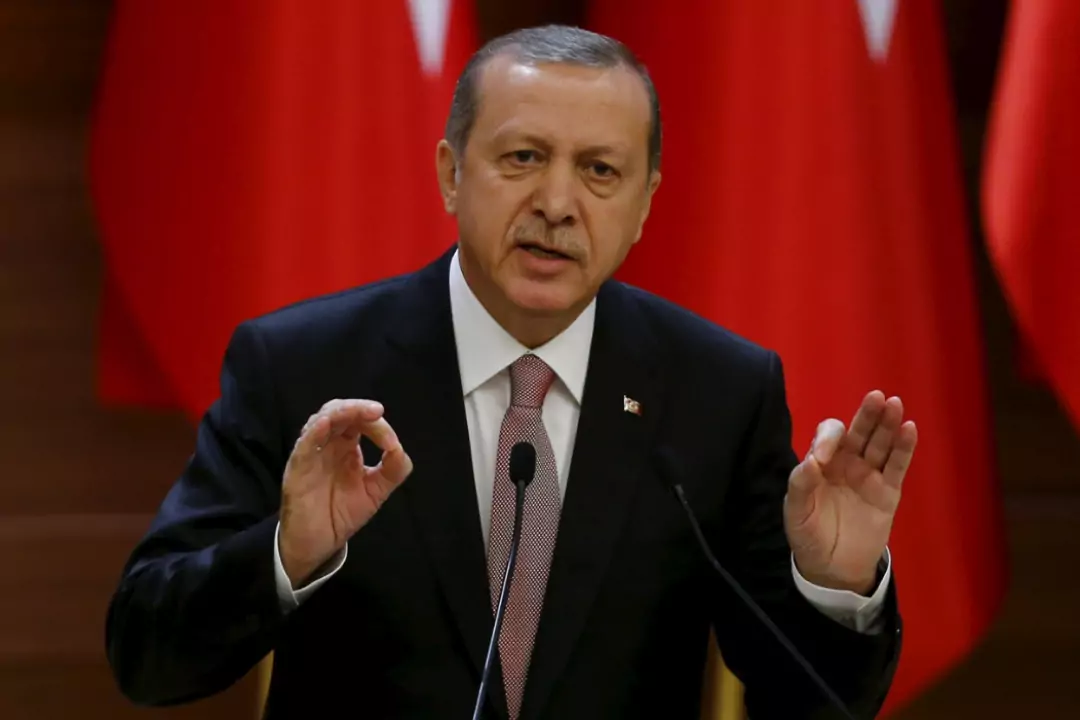Эрдоган пригласил в Турцию Путина и Зеленского для проведения переговоров по Украине