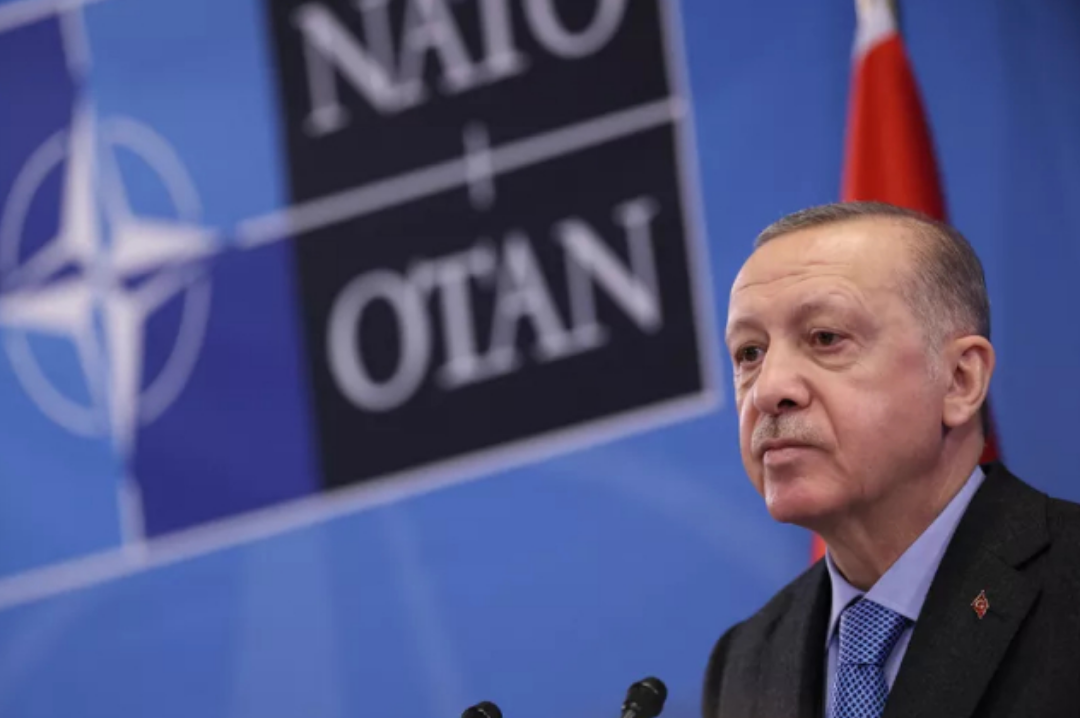 Эрдоган: Россия и Украина договорились по четырем из шести пунктов переговоров
