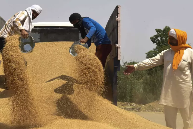 Индия ввела запрет на экспорт пшеницы - это грозит мировым голодом