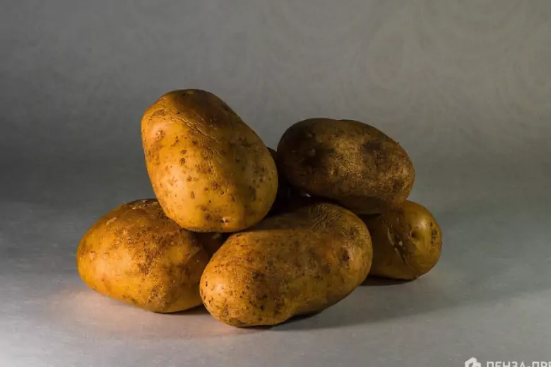 Эксперты рассказали, как вырастить рассаду из подгнившего картофеля