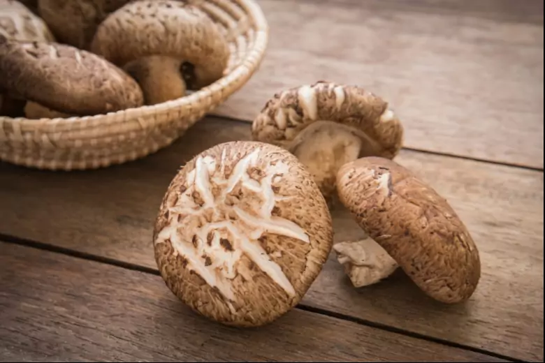 Эксперты рассказали о пользе грибов шиитаке