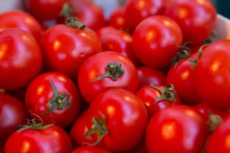 Диетологи назвали 5 неожиданных эффектов от употребления помидоров