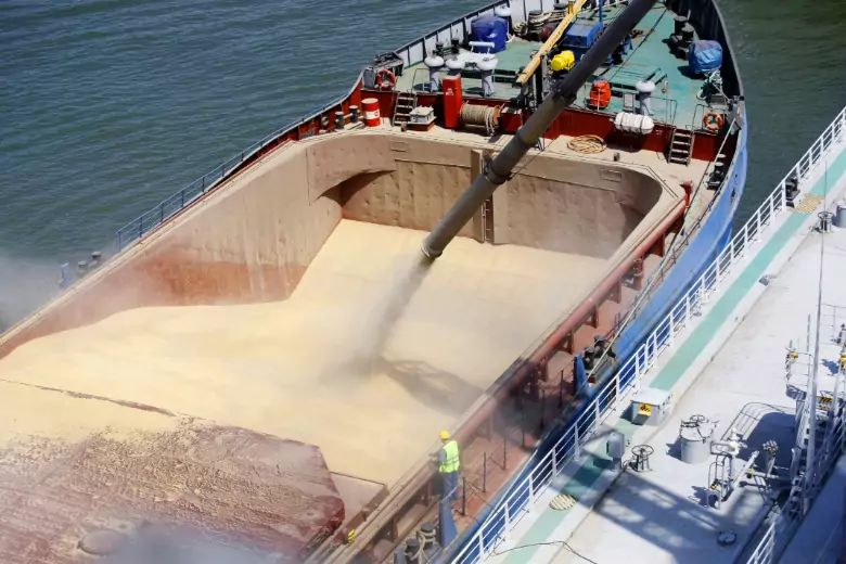Bloomberg: Турция расследует источник зерна на корабле «Жибек жолы»