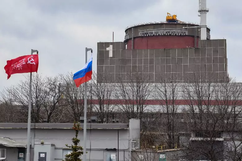 В МАГАТЭ заявили, что причиной трёх взрывов у Запорожской АЭС могли стать животные