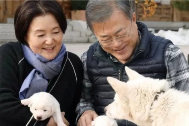Бывший президент Южной Кореи Мун Чжэ Ин заявил, что планирует отказаться от пары собак, присланных северокорейским лидером Ким Чен Ыном в качестве подарка.