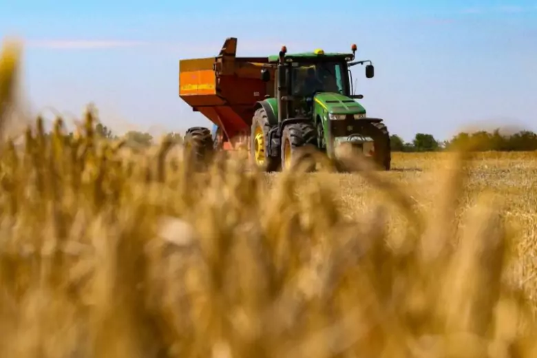 Страны Восточные Европы жалуются на дешевое зерно из Украины