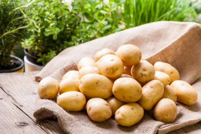 Способы сохранить картошку свежей до прихода весны