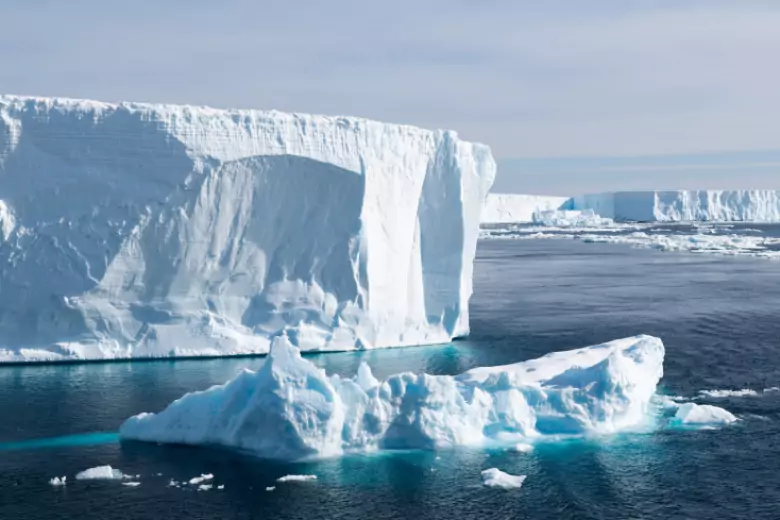 ВМО: в Антарктике произошло рекордное таяние льда
