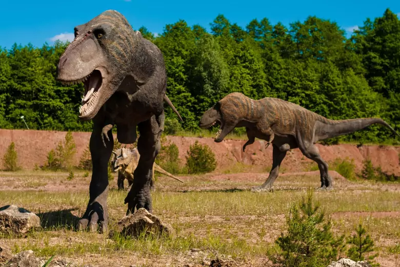 Динозавры ели млекопитающих: ученые нашли доказательства