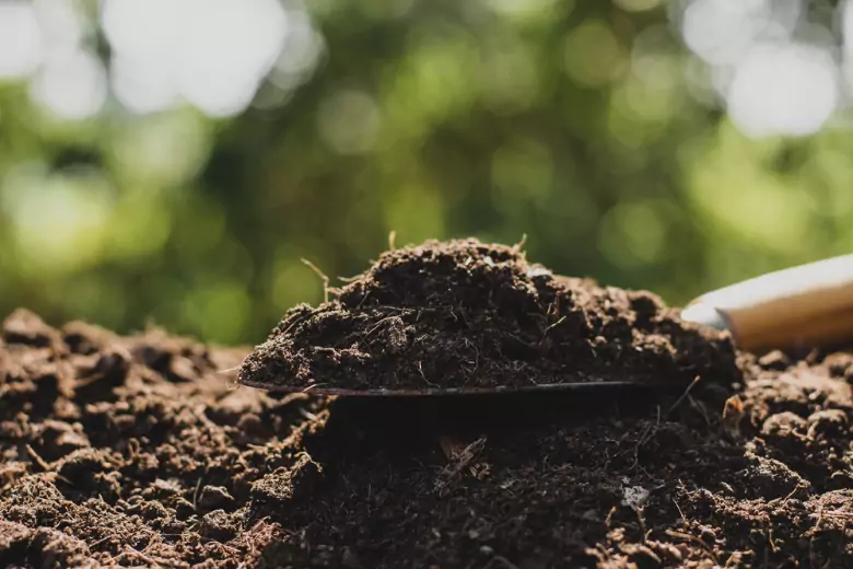 Эксперт Garden Organic рассказал, как культивировать плодородную почву весной