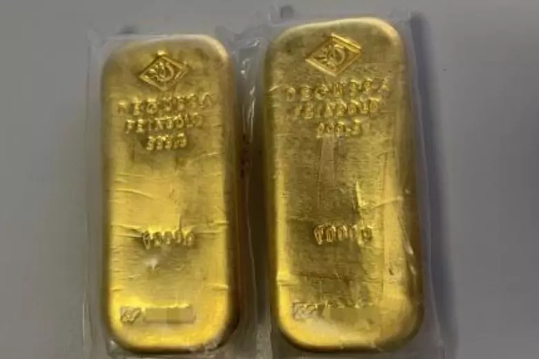 Два золотых слитка были обнаружены вместе с золотыми монетами во время ремонта квартиры в Гейдельберге.