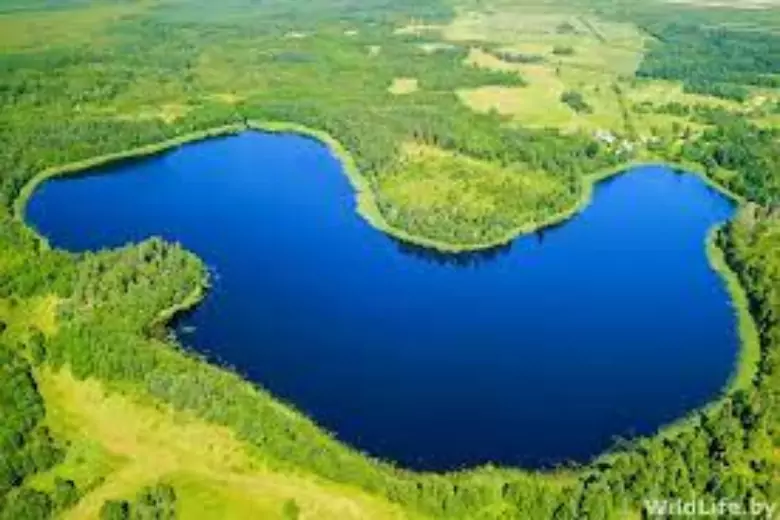 Ученые Вирджинии выяснили, что человек сократил объем воды в половине озер мира всего за 30 лет
