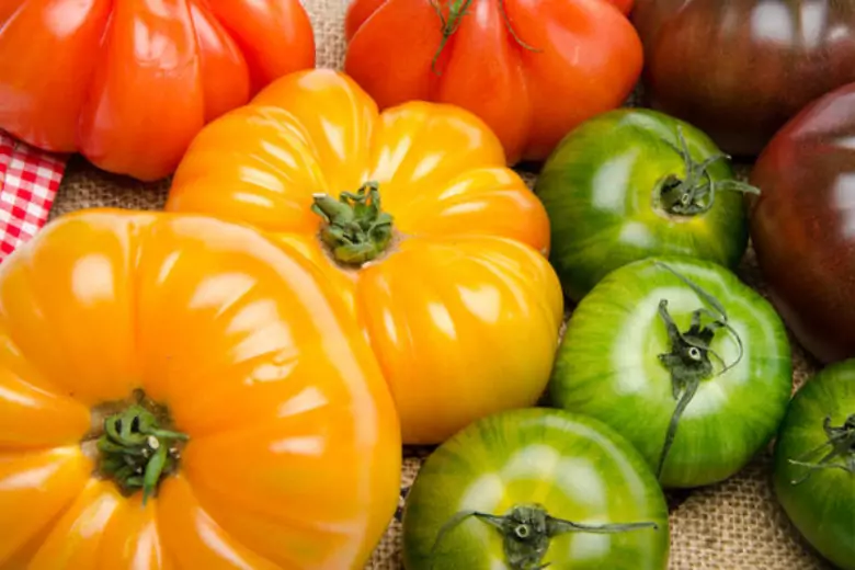 Опытные хозяйки советуют, как помочь зеленым томатам дозреть дома