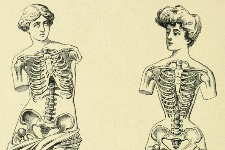 Корсеты были очень популярны у модниц на протяжении нескольких веков подряд