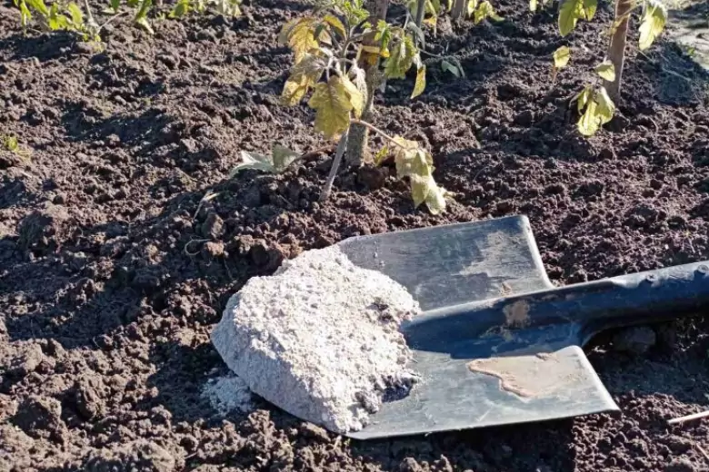 Древесная зола - любимое удобрение многих дачников, но это не значит, что такое удобрение предпочитают все растения.
