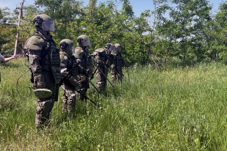 Саперы в ЛНР обезвредили более полусотни взрывоопасных предметов