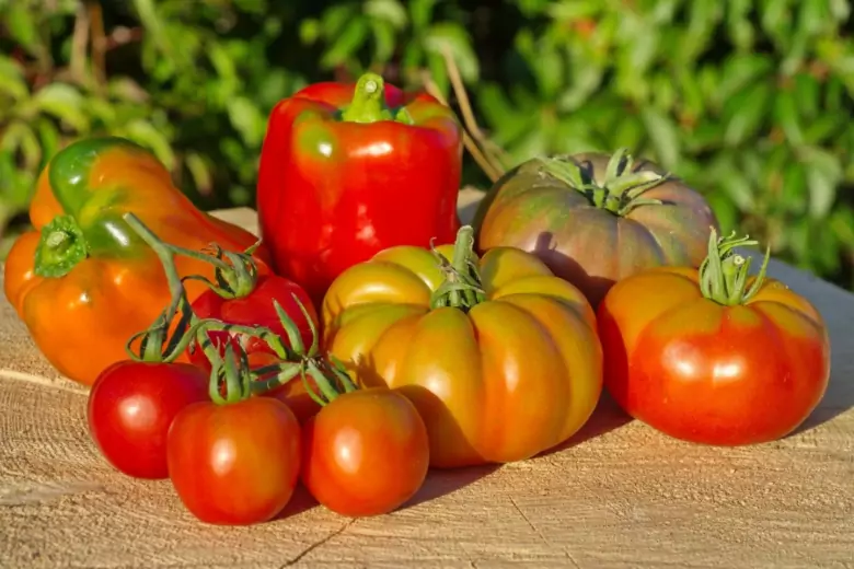 Эксперты рассказали о невероятных возможностях пшенной подкормки, способной придать томатам и перцам силы для выдачи обильного урожая.