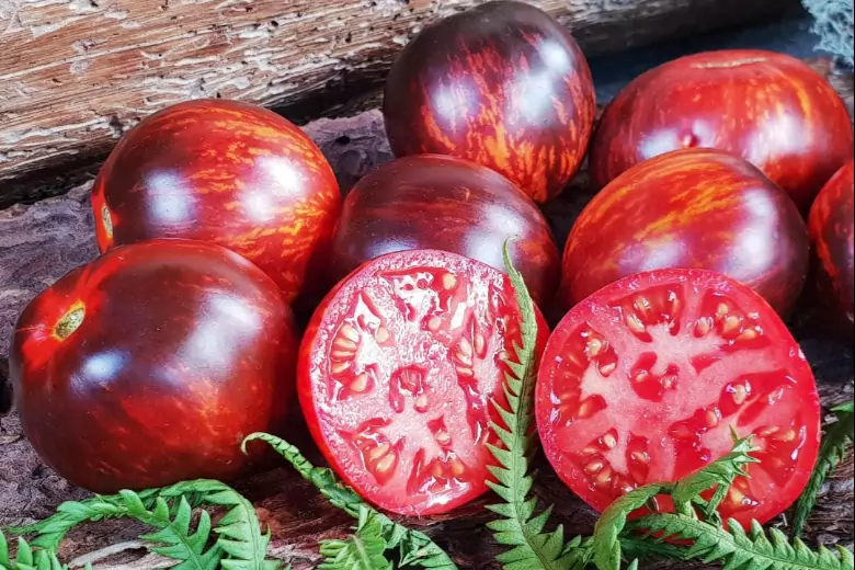 Опытный огородник рассказал о преимуществах необычного сорта томатов Гаргамель