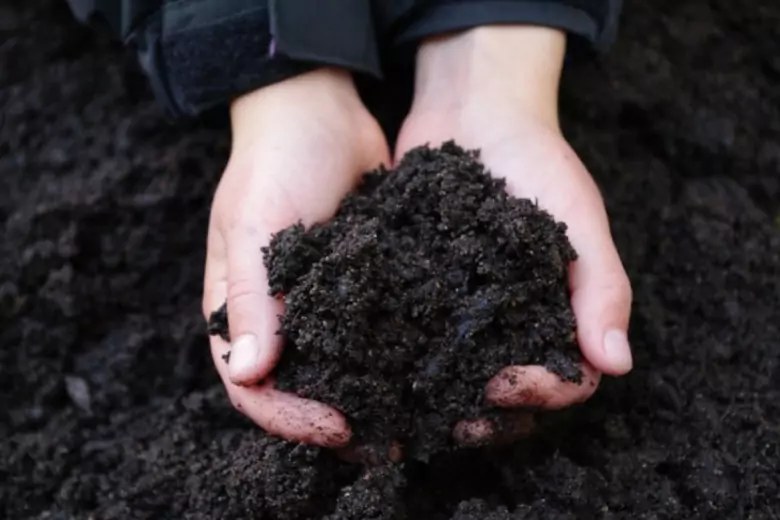 Как улучшить состав почвы осенью: опытный дачник рассказал, что можно вносить