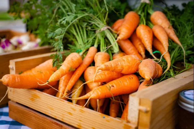 Бывалый садовод расписал подробно схему обязательных подкормок при выращивании моркови