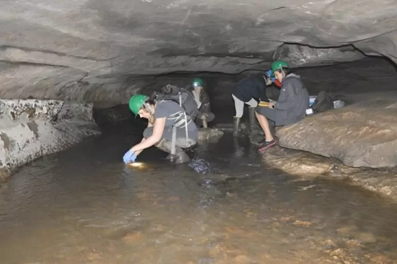 Исследователи из Института Воды в Университете Сент-Луиса обнаружили, что в пещере, которая была закрыта для посетителей в течение 30 лет, содержится высокая концентрация микропластика.