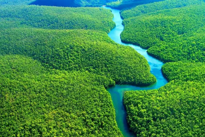 Сообщества, зависящие от водных путей тропических лесов Амазонки, оказались в затруднительном положении без поставок топлива, продуктов питания и фильтрованной воды.