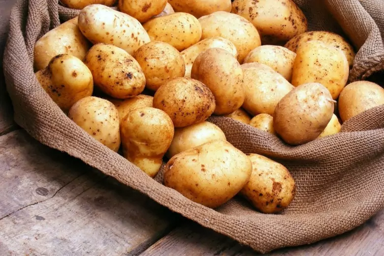 9 ценных советов по выращиванию качественного урожая картофеля