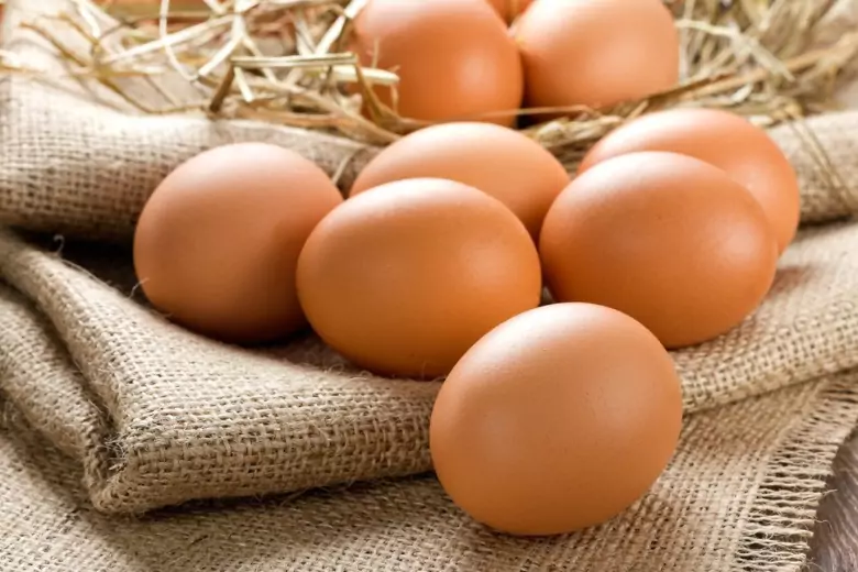 Строитель «заминировал» квартиру клиентки тухлыми яйцами за отказ платить