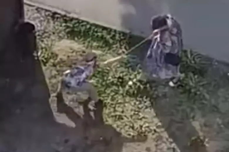 СК России завел уголовное дело из-за видео, где женщина выгуливает мальчика на веревке