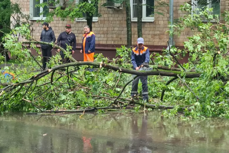 Последствия капризов погоды в Москве: упало 700 деревьев, повреждены 300 машин, погибли люди