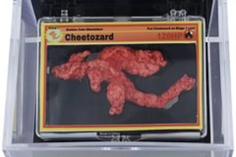 Кусочек чипсов Cheeto продан на аукционе за 90 тысяч долларов